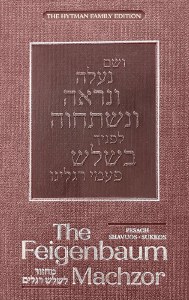 Picture of The Feigenbaum Machzor for Shalosh Regalim Sefard [Hardcover]